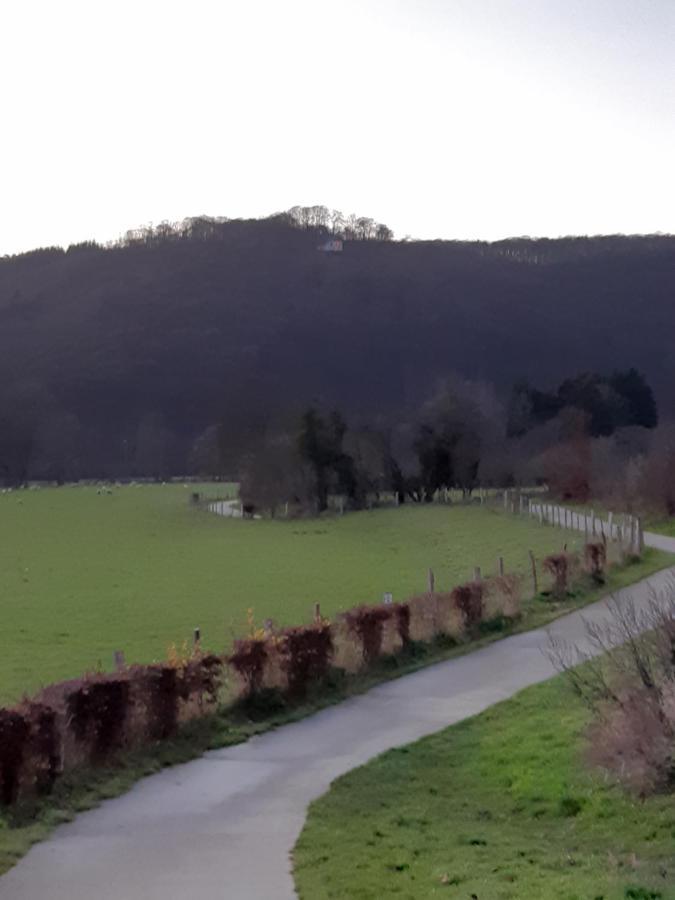 ماركورت Bed & Breakfast Vallee De L'Ourthe المظهر الخارجي الصورة