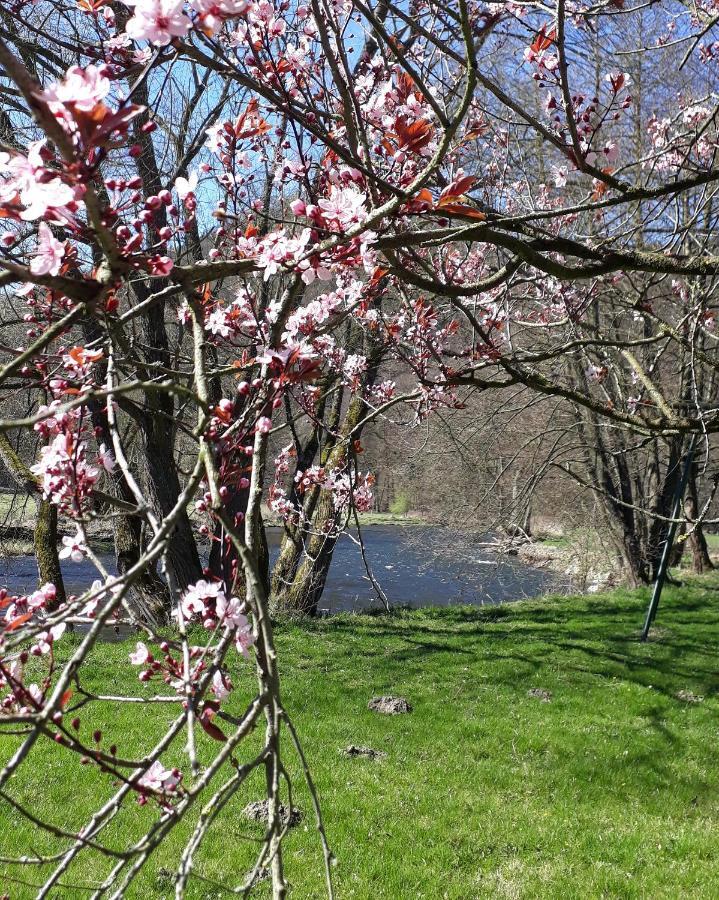 ماركورت Bed & Breakfast Vallee De L'Ourthe المظهر الخارجي الصورة