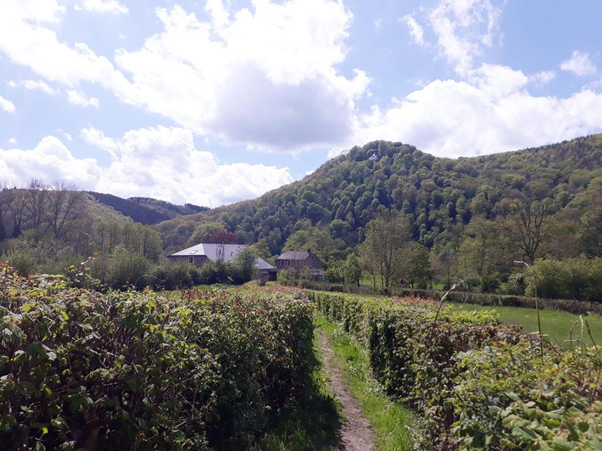 ماركورت Bed & Breakfast Vallee De L'Ourthe المظهر الخارجي الصورة